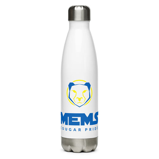 Stainless Steel Water Bottle